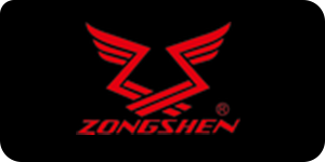 ZONGSHEN---Tongli's Battery Partner